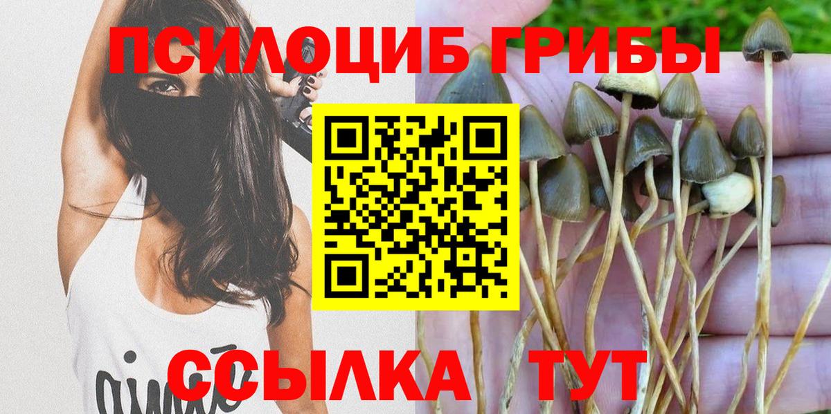 Галлюциногенные грибы Psilocybine cubensis Фролово