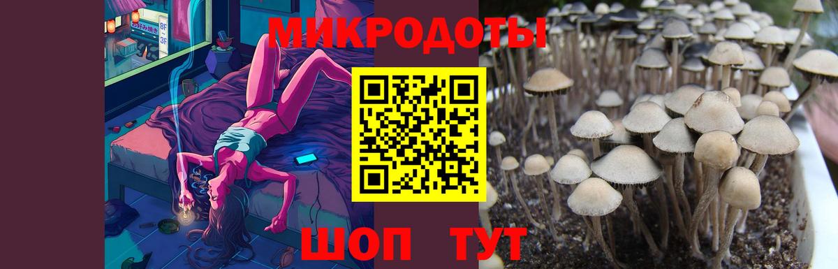 Галлюциногенные грибы Psilocybine cubensis  Псилоцибиновые грибы GOLDEN TEACHER  Фролово  Вход с VPN 